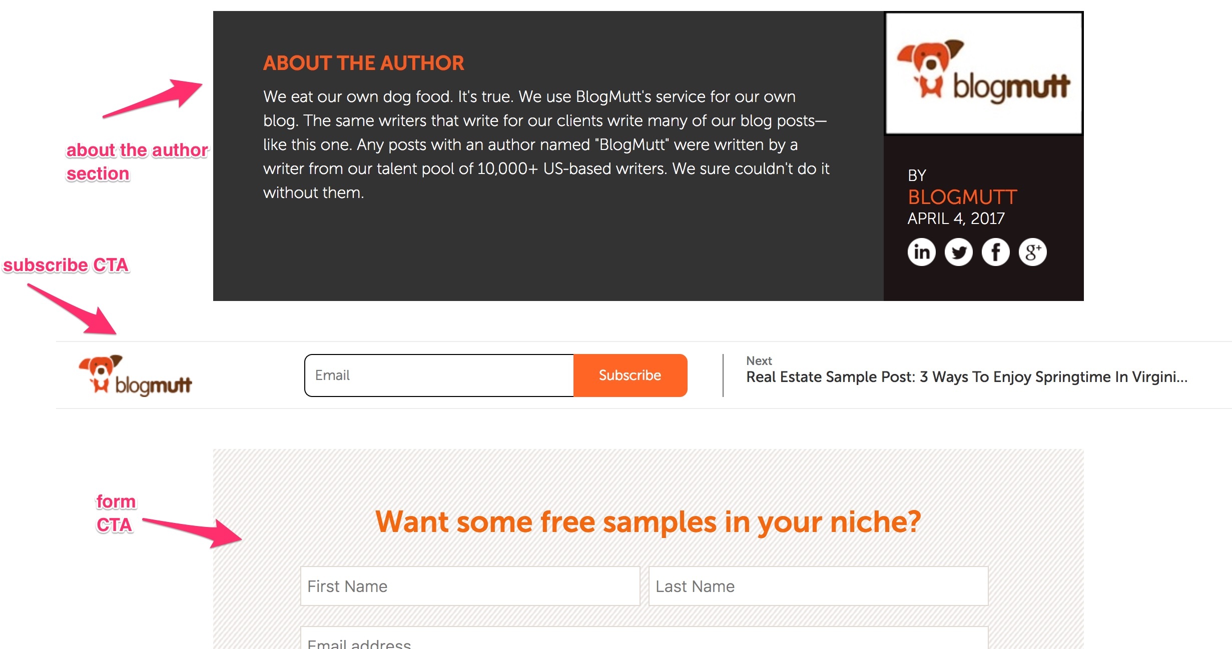 The footer section of a blog post with callouts to key information - about the author, subscribe CTA, form call to action