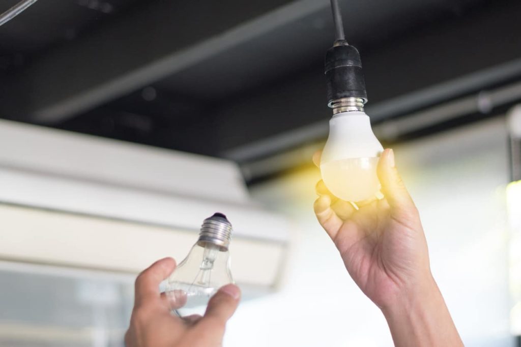 eco-friendly sustainable lightbulb