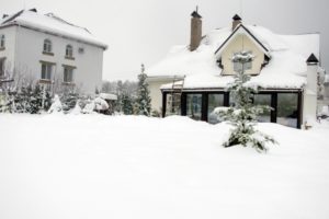 snowy-homes-with-pine-trees-around