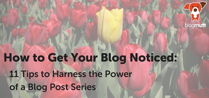 how-to-get-your-blog-noticed-tips-to-harness-power-of-a-blog-post-series