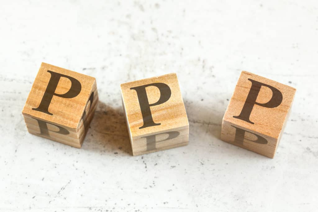 Solving the puzzle of the PPP can help sustain your business.