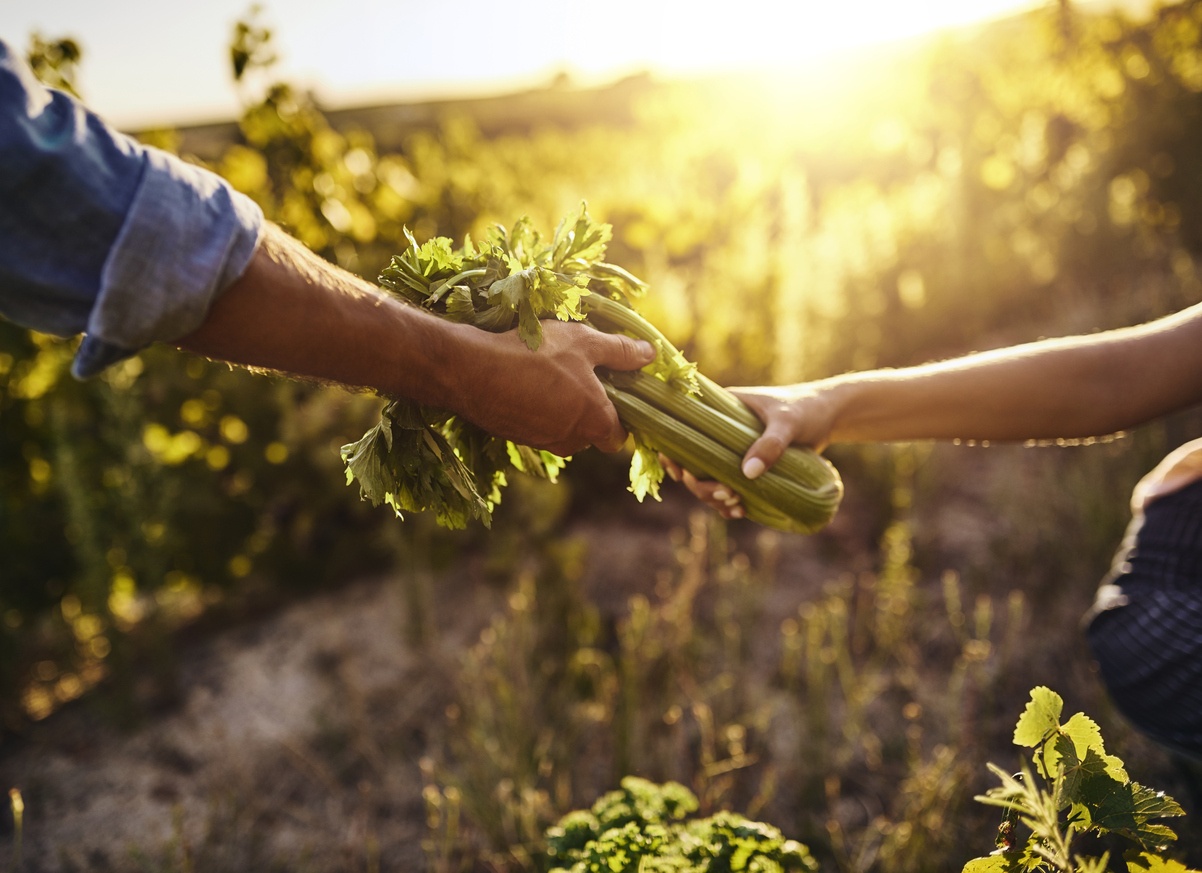 farmers-working-together-agriculture-food-system