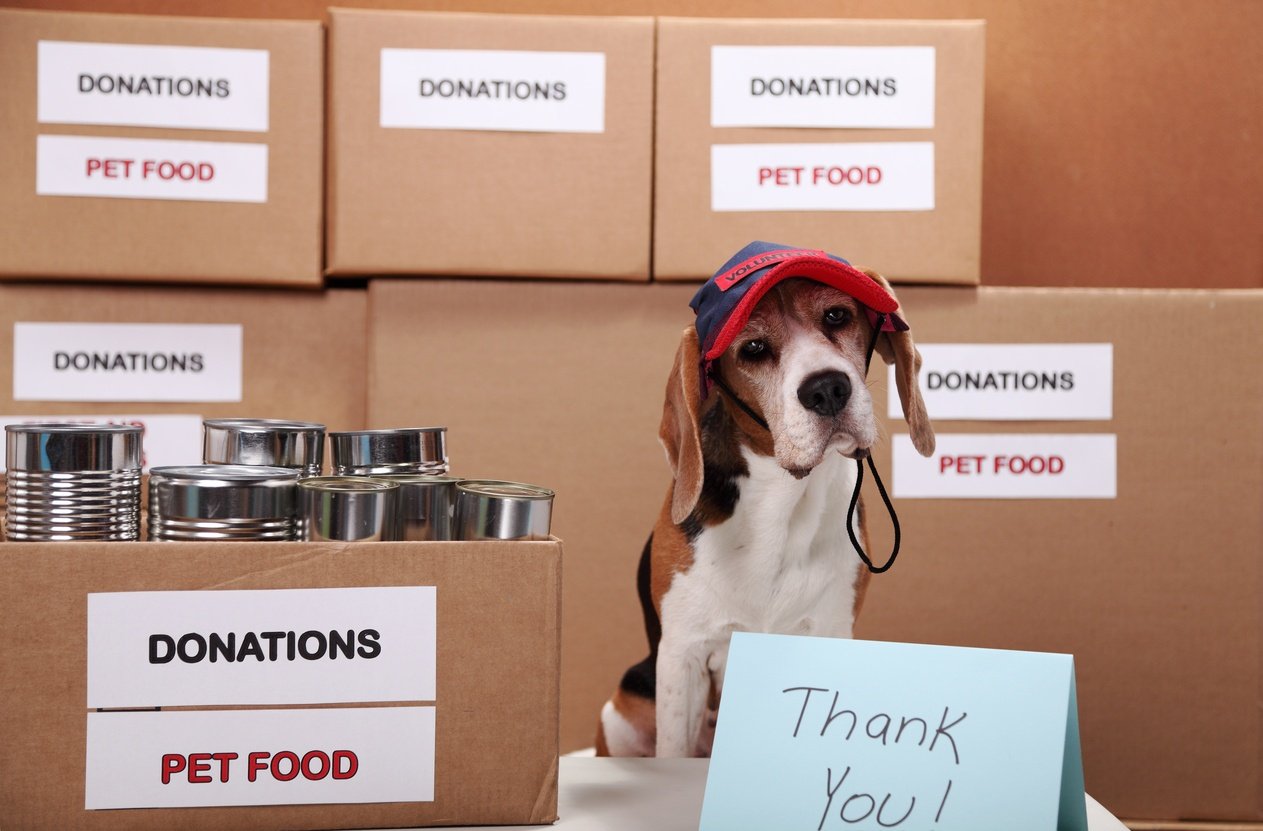 pet-food-donation-dog-volunteer.jpg