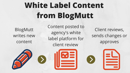 steps-of-White-Label-Content-Writing-from-blogmutt